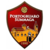 Portosummaga logo