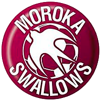 logo: Moroka Swallows