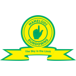 logo: Mamelodi Sundowns