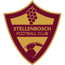 Stellenbosch logo