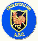 Croesyceiliog AFC logo
