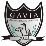 Gavia Choszczno logo