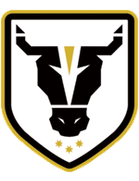 Bulls Academy