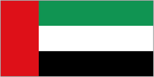 United Arab Emirates logo