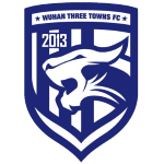 logo: Wuhan Three Towns