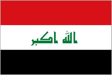 Logo Team Iraq