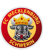 Mecklenburg Schwerin logo